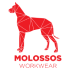 client logo 1 - Wieldex